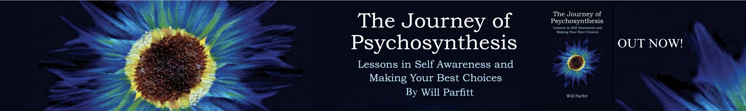 The Journey of Psychosynthesis - Out Now